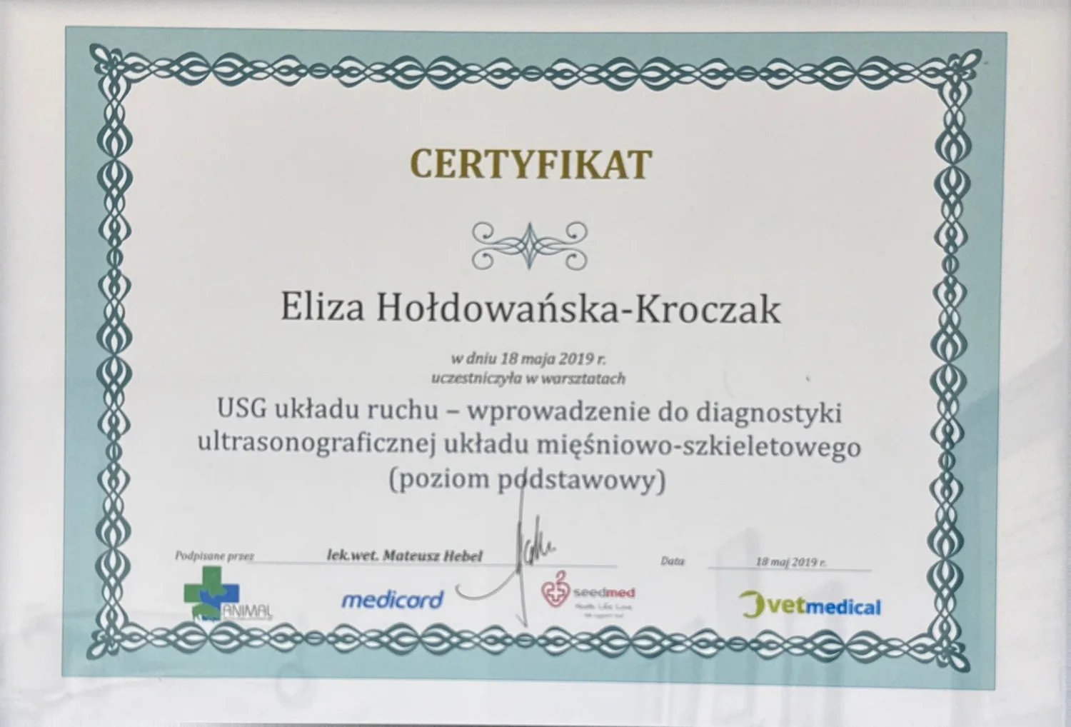 Musculoskeletal ultrasound (basic level)