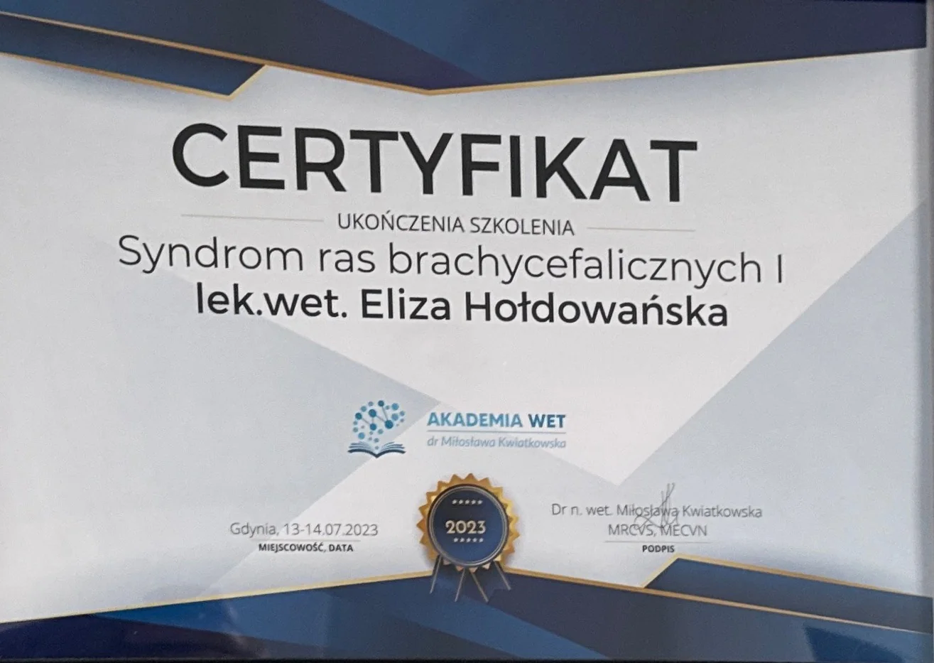 Brachycephalic breed syndrome I