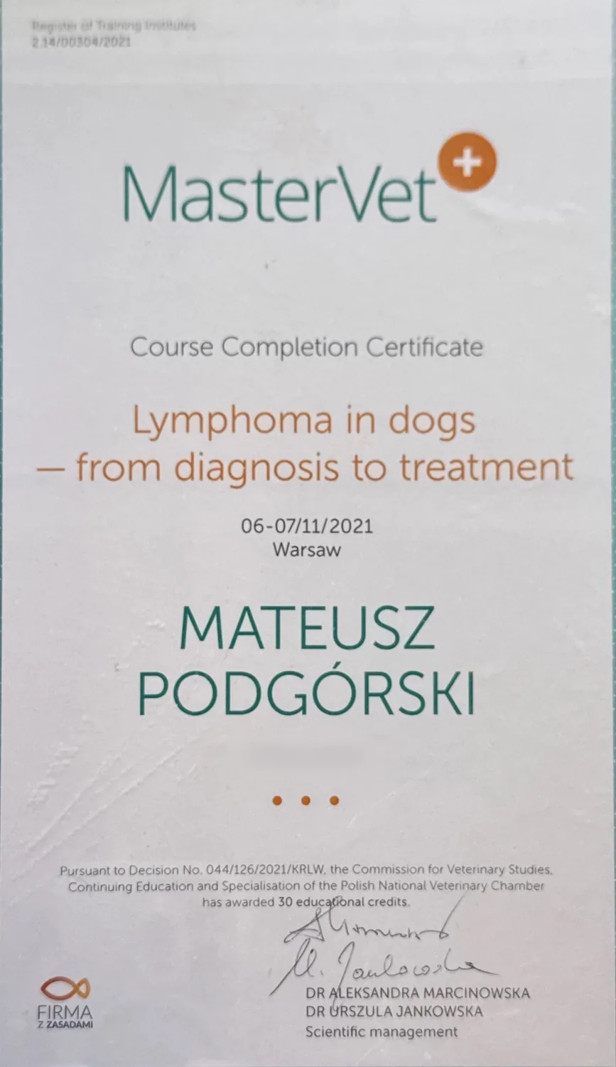Lymphoma in dogs – from diagnosis to treatment